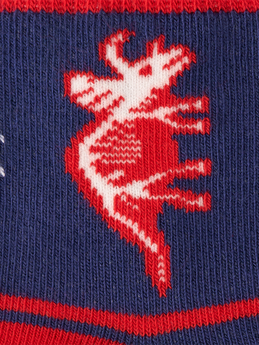 OMSA kids   Calzino 23Р65 (Скелетоны)