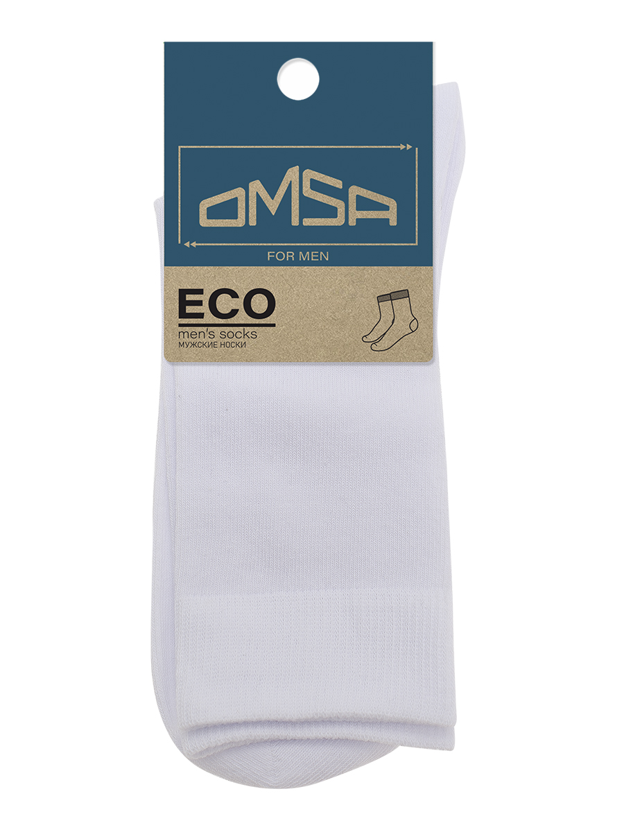 OMSA ECO 401 